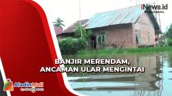Belasan Rumah Terendam Banjir di Kota Karang Jambi, Warga Khawatir Ular Datang