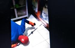 Heboh Biawak Masuk Rumah Makan di Jepara, Petugas Damkar Sempat Kesulitan Mengevakuasi