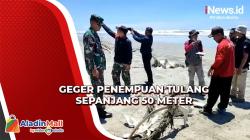 Penemuan Tulang Belulang Sepanjang 50 Meter di Tepi Pantai Gegerkan Warga Seluma Bengkulu