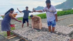 Permintaan Ikan Kering Gorontalo Utara Naik, DPRD Minta Pemerintah Berikan Perhatian