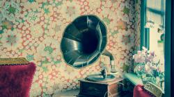 9 Barang Antik yang Banyak Dicari Para Kolektor, Ada Uang Kuno hingga Benda Seni Ini