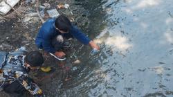 Mahasiswa ITS Surabaya Sulap Sekam Padi Jadi Penjernih Air Sungai Tercemar Kromium