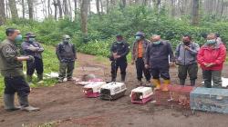 TNGC Kedatangan 7 Satwa Baru, Dilepasliarkan di Wilayah Majalengka<