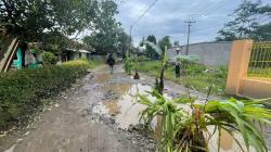 Protes Jalan Rusak Tak Digubris Pemda, Warga Dua Desa Ngadu ke DPRD KBB<