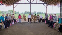 Petani Tebu Mengeluh Harga Pupuk Mahal, Ini Penjelasan Jokowi 