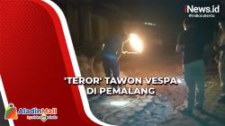 Warga Resah, Tawon Vespa Bersarang di Komplek Situs Mbah Rebon Pemalang