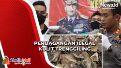 Polisi Gagalkan Penjualan 15 Kg Kulit Trenggiling
