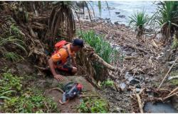 Korban Tenggelam di Pantai Jungwok Ditemukan Tak Bernyawa 20 Meter dari Bibir Pantai