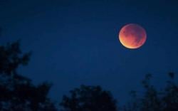  Gerhana Bulan Total Sore Ini, BMKG: Dapat Diamati dari Palembang <