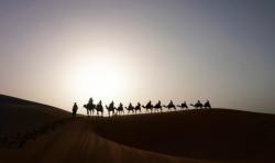 4 Makam Imam Mazhab yang Wajib Diketahui, Apa Saja?