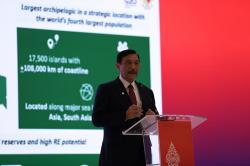 Luhut Sebut Emisi Karbon per Kapita RI Lebih Rendah dari Negara Maju