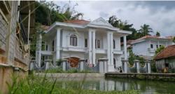 Unik, Singgah ke Desa Ini Bisa Lihat Perkampungan Miliarder, padahal di Pinggir Hutan