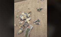  Anjing Ini Kunyah Uang Kertas Rp32 Juta, Pemiliknya Langsung Syok <