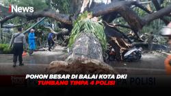 Pohon Besar di Balai Kota DKI Jakarta Tumbang Timpa 4 Polisi