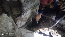  Ular Kobra 2 Meter Masuk Dapur Bikin Panik Warga Cibinong