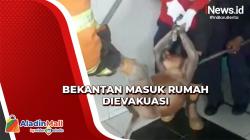 Evakuasi Bekantan Masuk Rumah jadi Tontonan Warga Tarakan