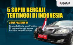 Infografis 5 Sopir Bergaji Tertinggi di Indonesia, Ada yang Tembus Rp30 Juta