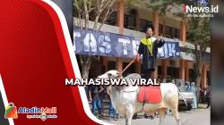 Tunggangi Sapi ke Tempat Wisuda, Mahasiswa Univet Sukoharjo Viral