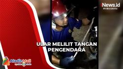 Ada Ular Menjalar dari Motor, Pengemudi Kaget dan Jatuh di Barito Utara