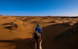 Kisah Nabi Khidir secara Ringkas dalam Al Quran, Penuh Hikmah dan Ilmu