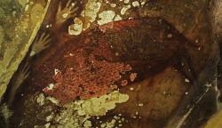 Lukisan Telapak Tangan dan Babi Rusa di Arean Taman Prasejarah Leang-Leang