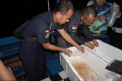 KKP Intensifkan Pengawasan Pengelolaan BBL di Jawa Barat