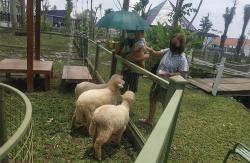 Melihat Obelix Village, Destinasi Wisata Baru di Sleman yang Cocok untuk Edukasi Anak  