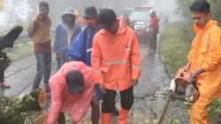 Pohon Tumbang di Kelok 42, Jalan Lintas Bukitinggi-Agam Macet