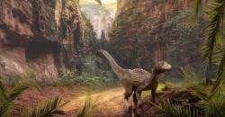 Mitos Dinosaurus yang Dipercaya Banyak Orang, Semua Berukuran Besar padahal Tidak