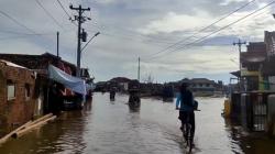 Tanah Pesisir Utara Kendal Turun 3 Cm per Tahun, Banjir Rob Mengintai