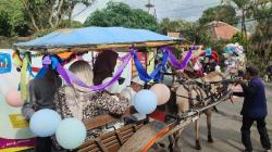 Belasan Delman di Lembang KBB Dihias dan Angkut Anak seusai Dikhitan, Ada Apa?<