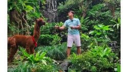 3 Artis Punya Aviary Raksasa Pelihara Ratusan Jenis Burung Langka, Ada yang Seluas Rumah 