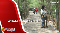 Jalan-Jalan ke Wisata Mangrove Medokan Ayu di Surabaya