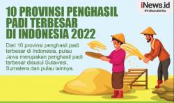 Infografis 10 Provinsi Penghasil Padi di Indonesia, Terbesar di Pulau Jawa