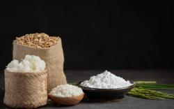 17 Fungsi Karbohidrat bagi Tubuh dan Makanan Beserta Pengertian serta Jenisnya