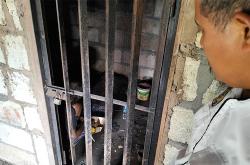 Dianggap Ancam Warga, 17 Penderita Gangguan Jiwa di Gunungkidul Hidup Dalam Pasungan<