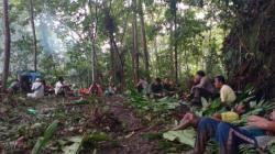 7 WNA dan 2 Warga Lokal Selamat usai Dilaporkan Hilang di Hutan Halmahera