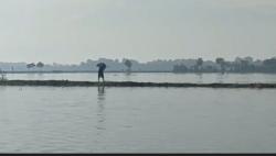 Banjir Brebes Meluas, Ratusan Hektare Lahan Pertanian di 7 Desa Terendam