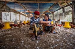 Indeks Bisnis UMKM BRI Q3-2022: Tetap Tumbuh di Tengah Kenaikan Inflasi