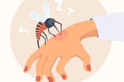 7 Contoh Simbiosis Parasitisme yang Sering Terjadi di Sekitar Kita