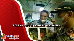 Hendak Diselundupkan, Puluhan Satwa Endemik Papua di Sorong Diselamatkan BKSDA
