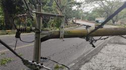 Dampak Gempa Cianjur, Ribuan Gardu Listrik Rusak, Warga Terpaksa Gunakan Lilin<