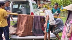 Ngeri, Pria di Kolaka Utara Kritis Jatuh dari Pohon Setinggi 7 Meter saat Petik Cengkih