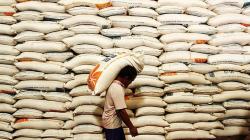 Badan Pangan Nasional Sebut Stok Beras 6,7 Juta Ton, Aman sampai Akhir Tahun