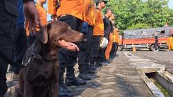  Basarnas Semarang Kirim Tim Medis hingga Anjing Pelacak Bantu Penanganan Gempa Cianjur<