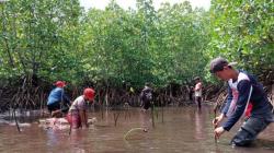 Peringati Hari Pohon Sedunia, Komunitas Likupang Raya Tanam 250 Mangrove