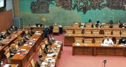 Raker Komisi X DPR, Angela Tanoesoedibjo Ungkap Temuan Positif di Sektor Parekraf Usai KTT G20