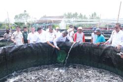 Bantul Dorong Masyarakat Manfaatkan Pekarangan untuk Budidaya Ikan 