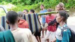 Viral Ibu Hamil Ditandu Sejauh 9 Km ke Jalan Raya saat Hendak ke Puskesmas di Sikka 