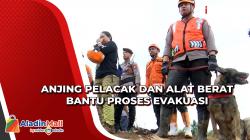 Bantu Evakuasi Korban Gempa dan Tanah Longsor di Cugenang, Alat Berat dan Anjing Pelacak Dikerahkan